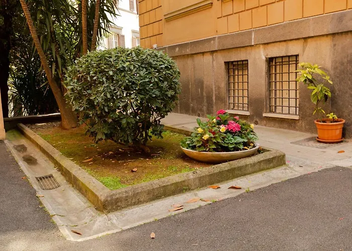 Borghese Magnolia *