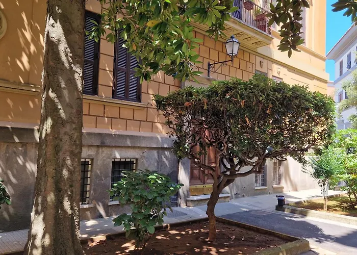 Borghese Magnolia *